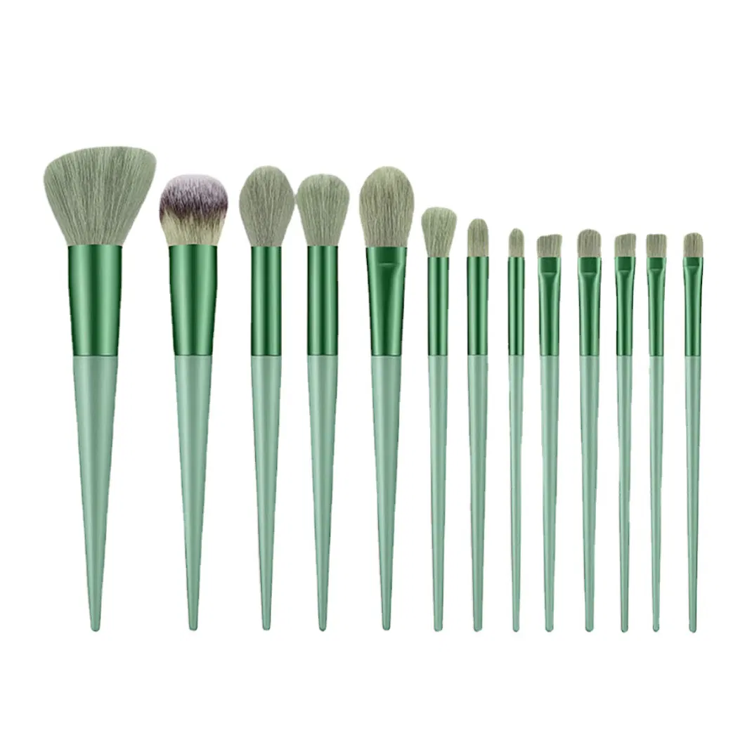 Makeup Brush Complete Set of 13 Travel Brushes Portable Blush Brush